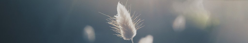 Fasten und Forschung