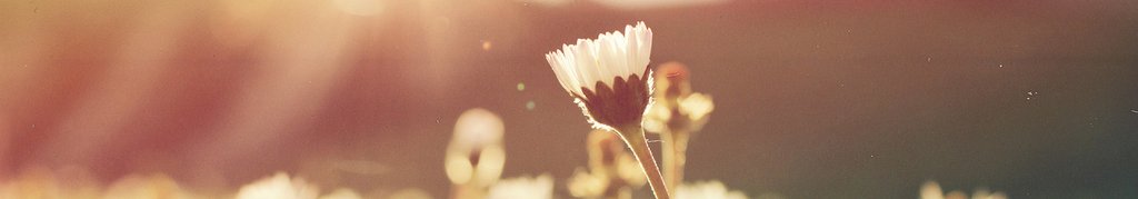 Compensunterstützte bioenergetische Heilbehandlungen
